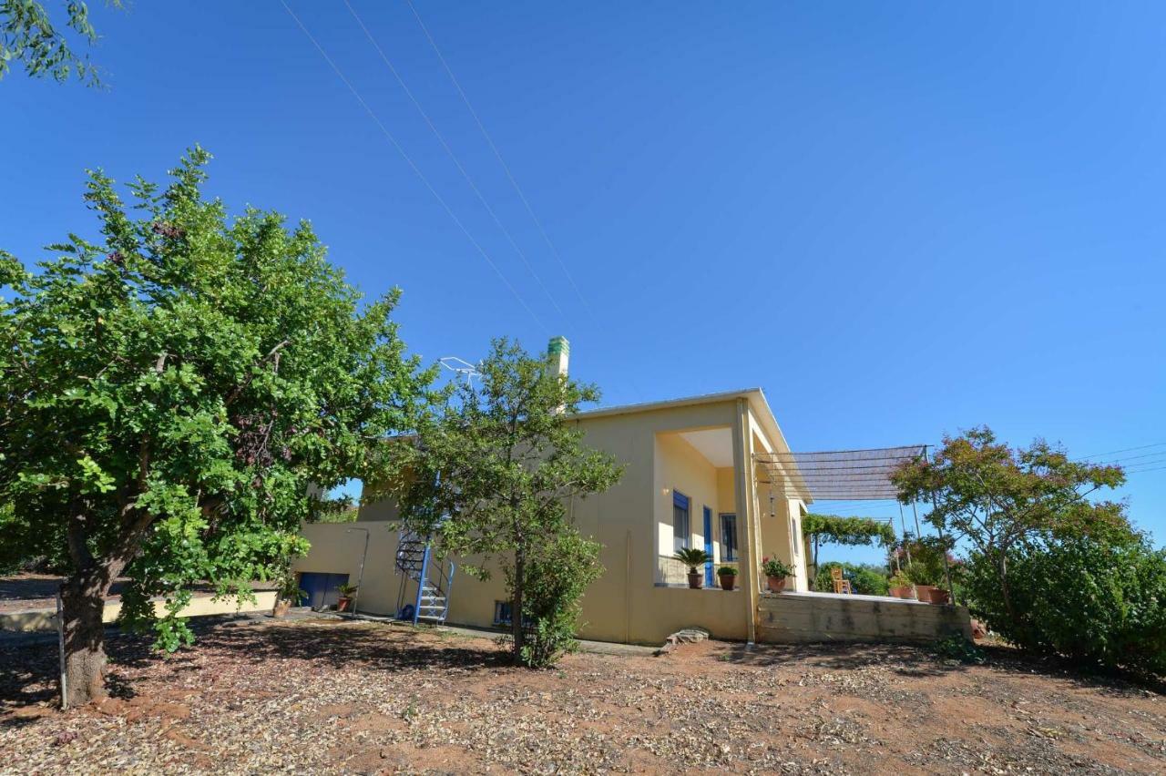 Santa Domenica Summer House Agia Kiriaki  Extérieur photo